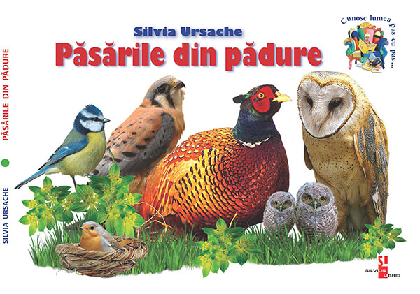 Păsările din pădure