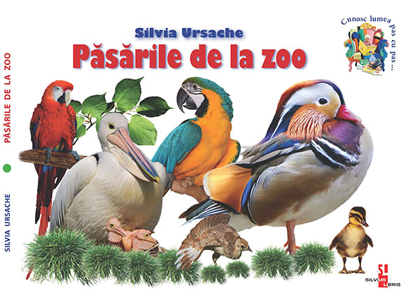 Păsările de la zoo