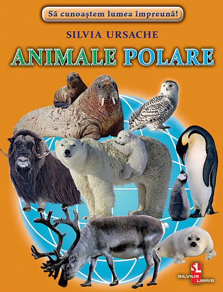 Animale polare